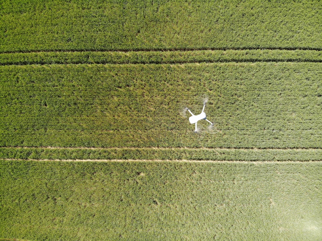 Drone sobrevoando um campo agrícola